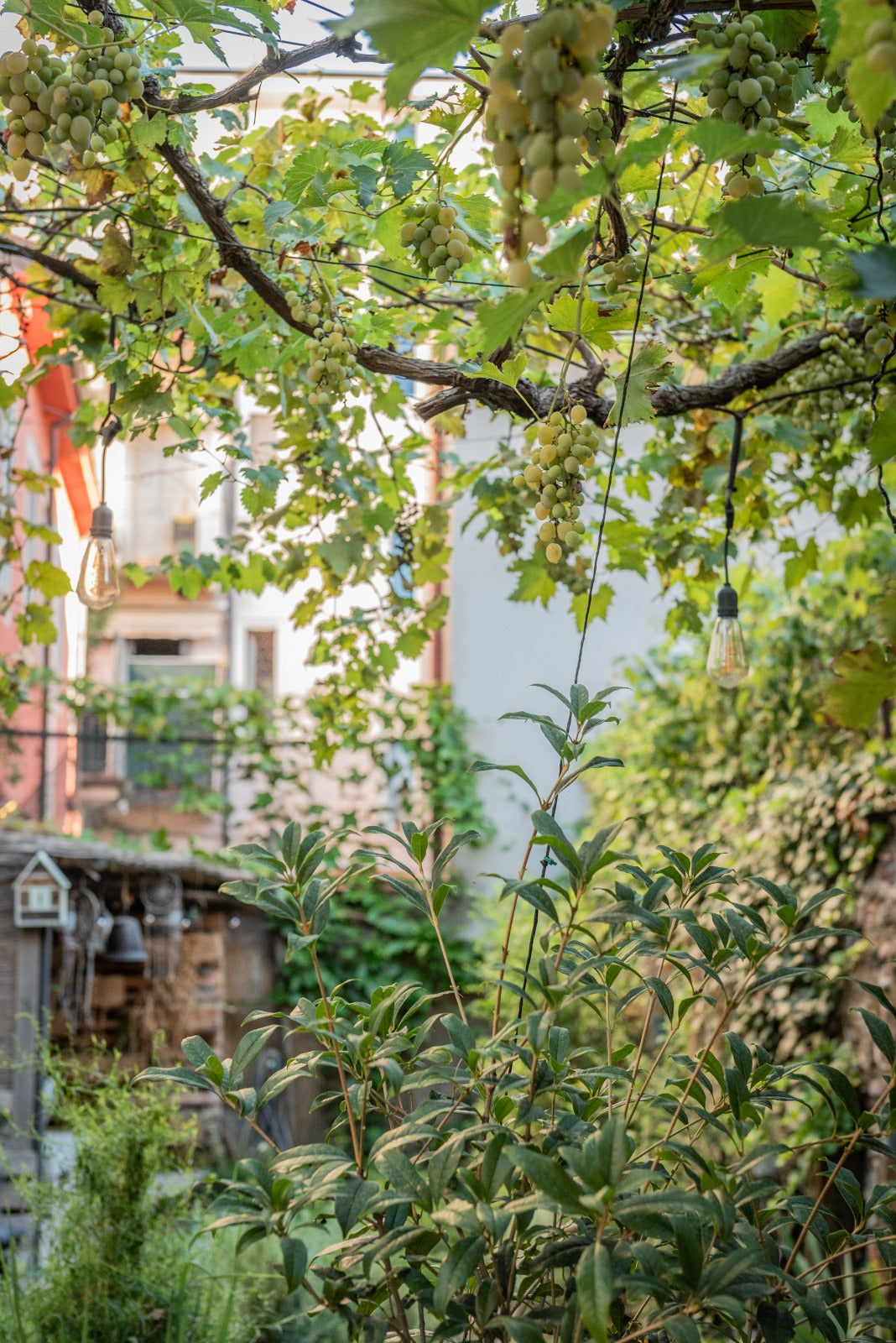 L'ARTE DI CUCIRE | 12 dicembre h. 19:00 @CASA BABBUINO VERONA