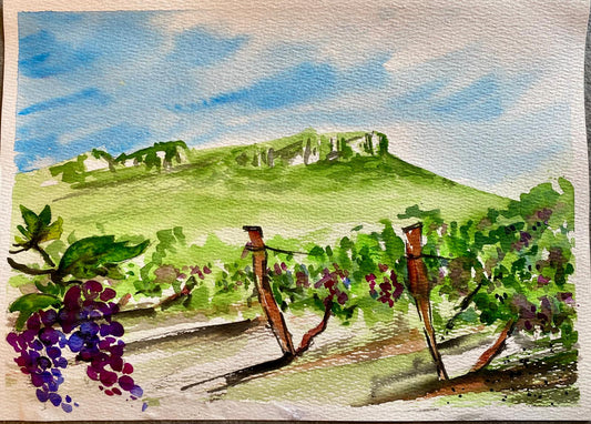 IN VIGNA (ACQUARELLO) | 8 maggio h 18:45 @LE FRAGHE Cavaion Veronese VR