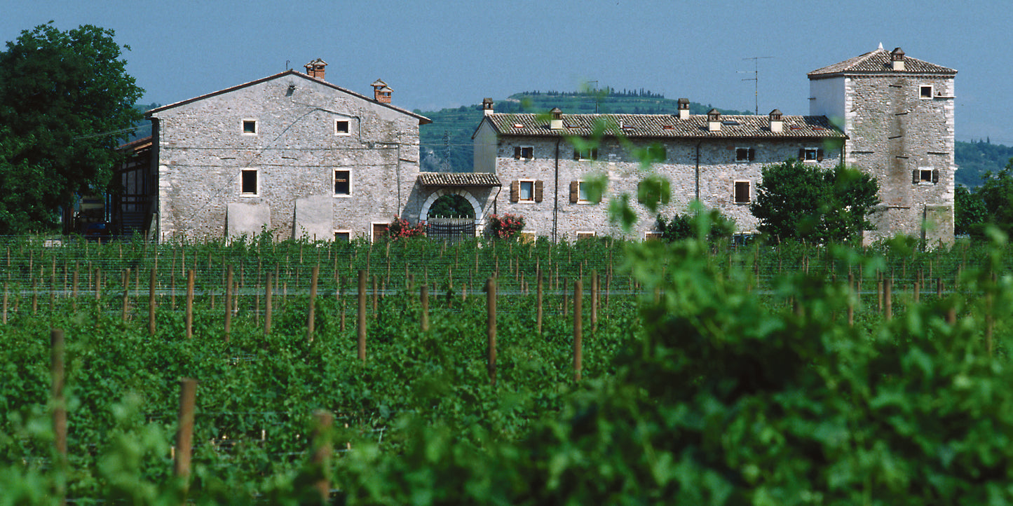 IN VIGNA (ACQUARELLO) | 8 maggio h 18:45 @LE FRAGHE Cavaion Veronese VR