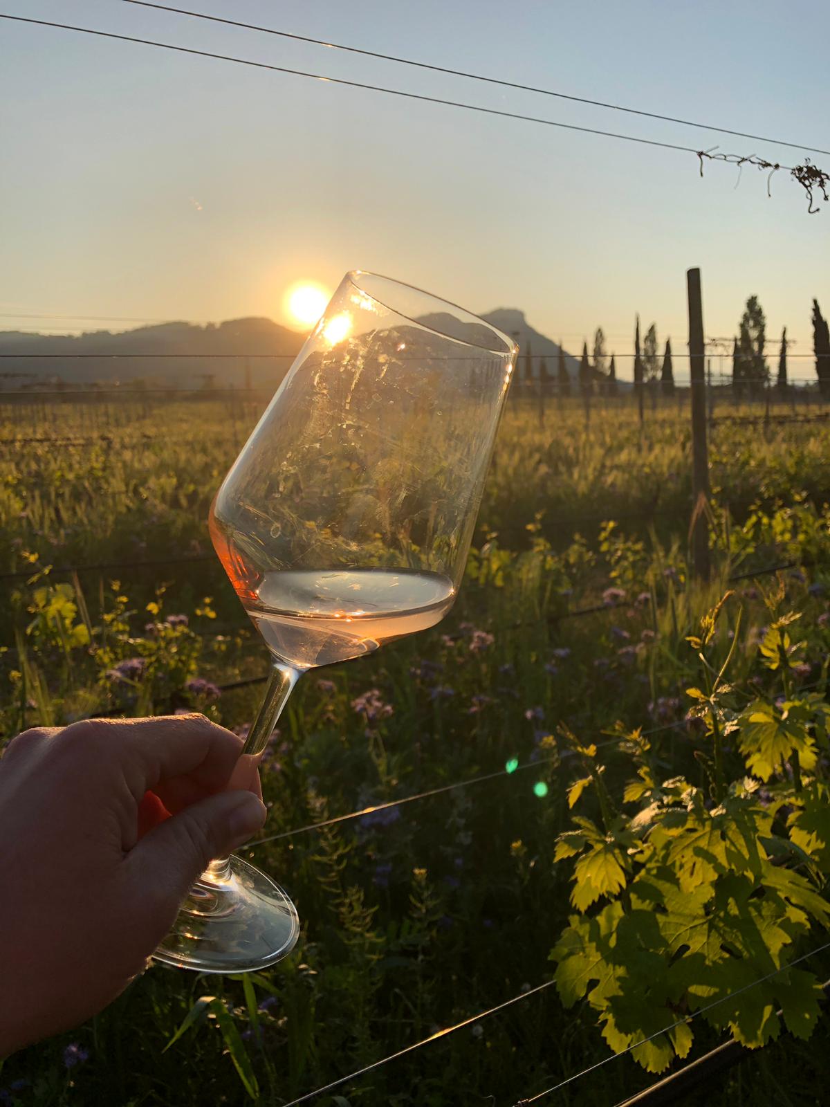 IN VIGNA (ACQUARELLO) | 8 maggio h 18:45 @LE FRAGHE Cavaion Veronese VR