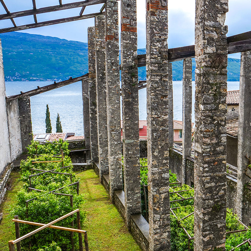 LIMONAIA 🍋 | 9 maggio h 15:00 @VIA DELLE LIMONAIE GARGNANO BS