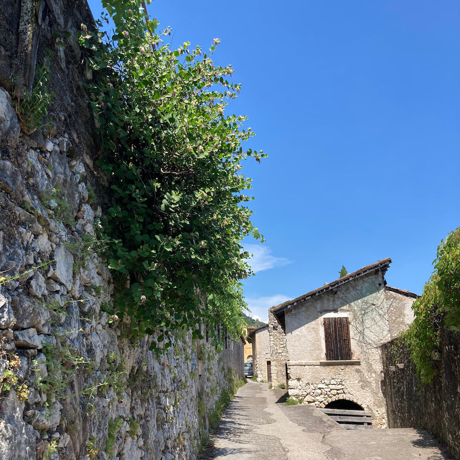 LIMONAIA 🍋 | 9 maggio h 15:00 @VIA DELLE LIMONAIE GARGNANO BS