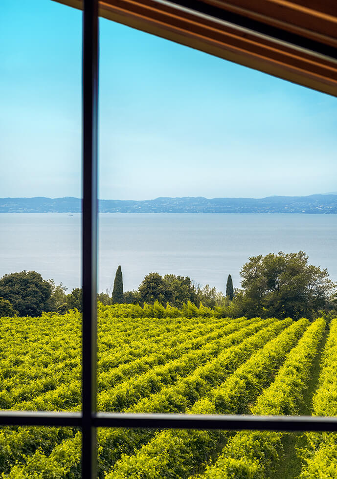 DONNA COL VESTITO | 28 giugno h 11:00 @AMAE WINERY VINI CASETTO Bardolino VR